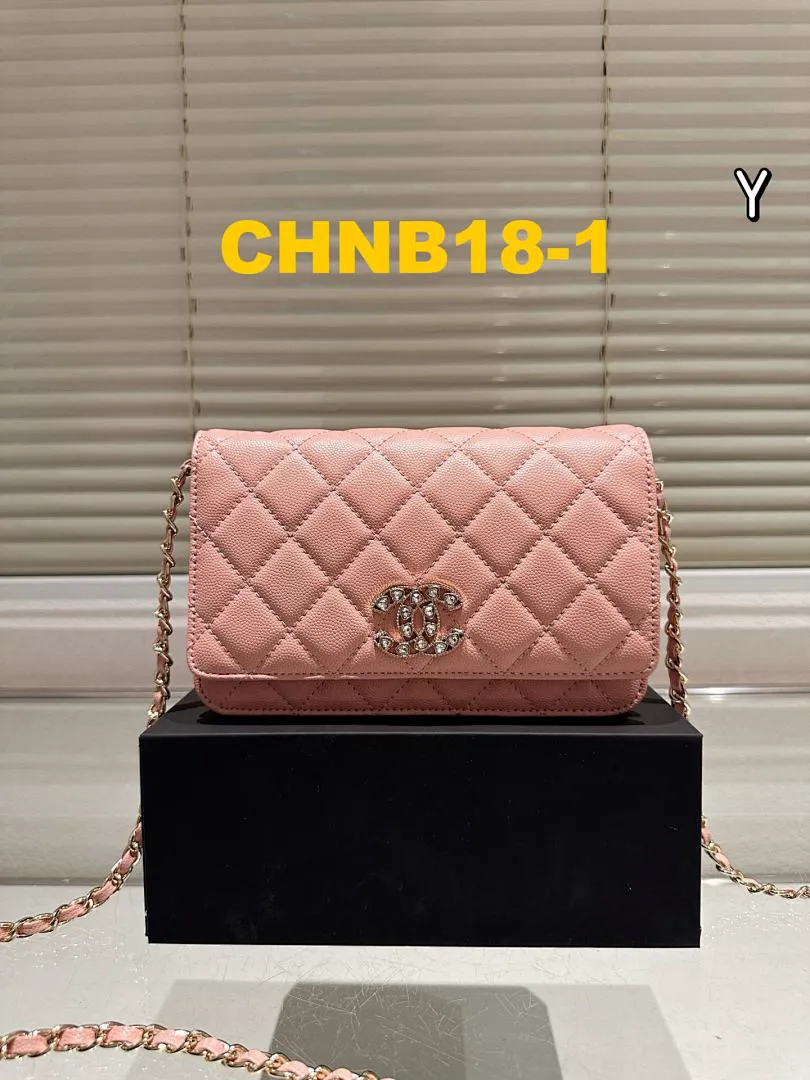 Chanel CHNB18 תמונה 2