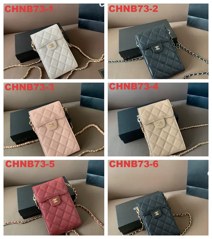 Chanel CHNB73