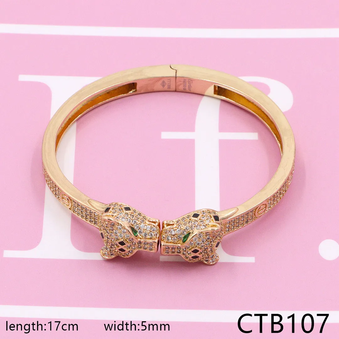 Cartier CTB9 תמונה 23