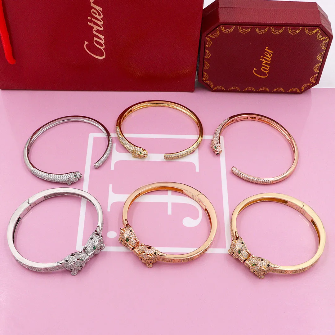 Cartier CTB9 תמונה 3