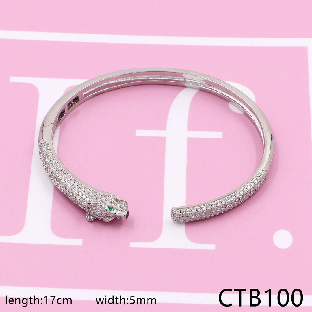 Cartier CTB9 תמונה 9