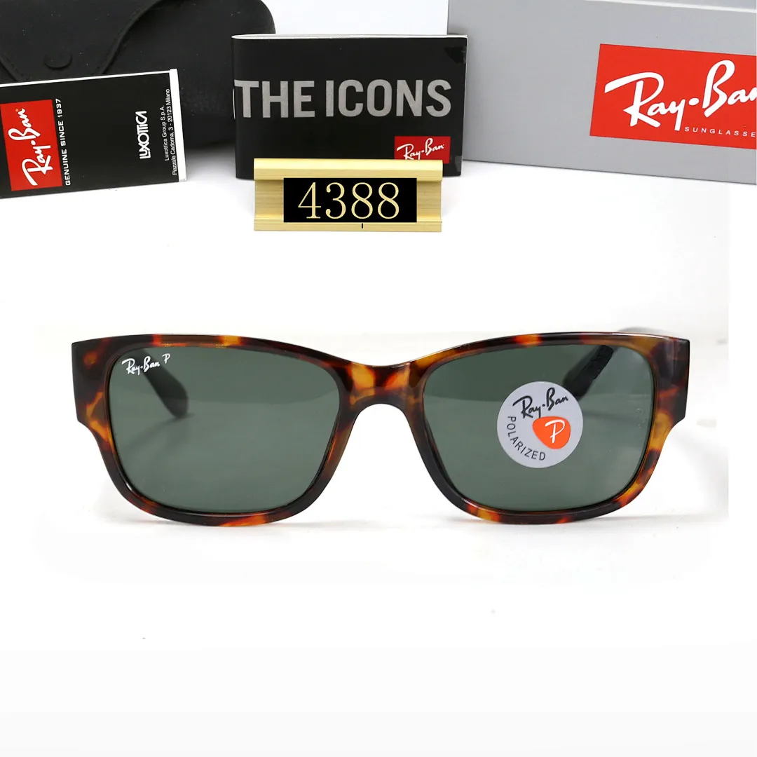 Ray-Ban E9W8 תמונה 4