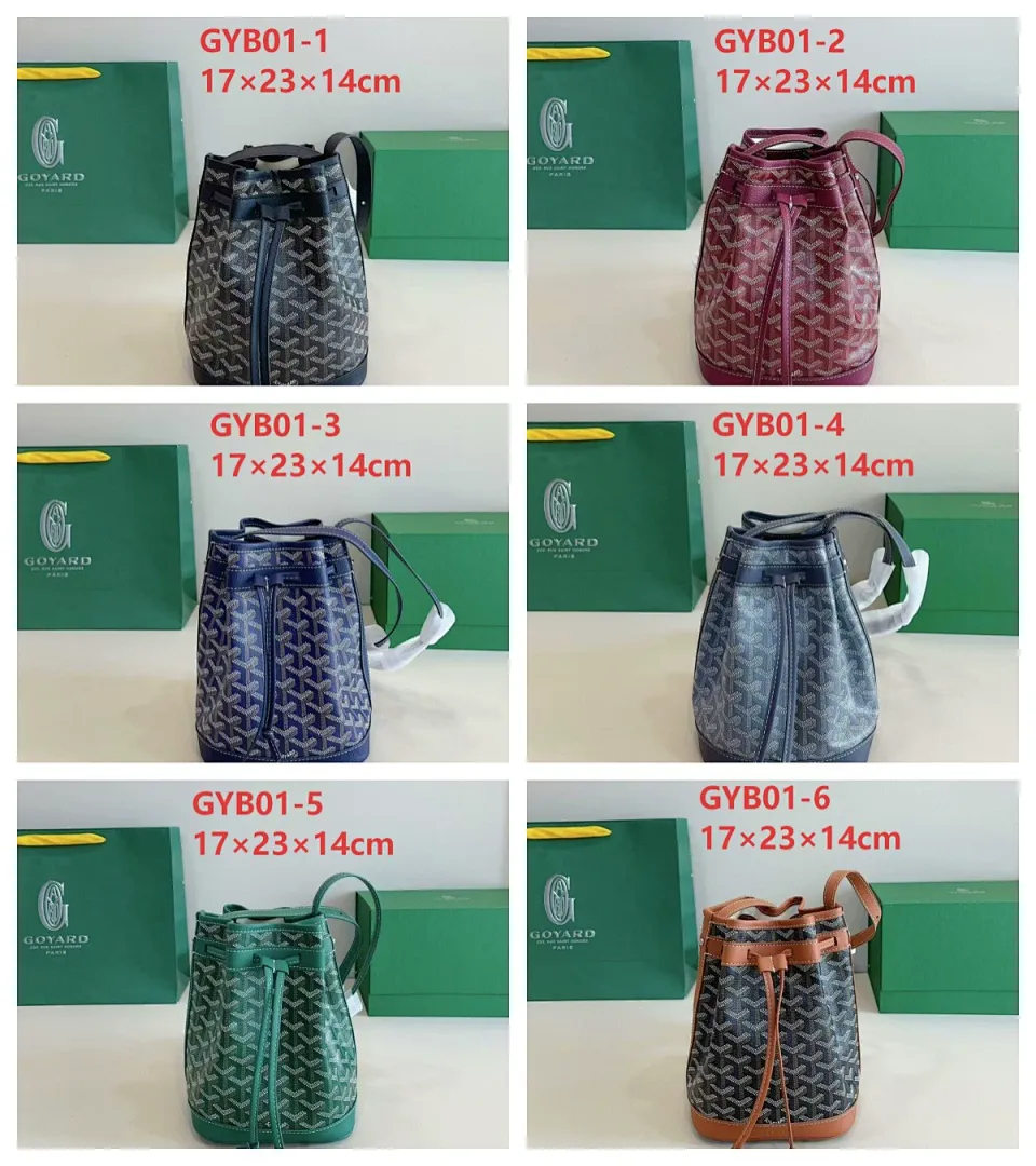 Goyard GYB01 תמונה 2