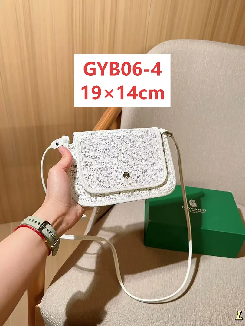 Goyard GYB06 תמונה 5