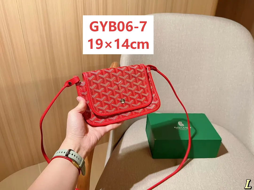 Goyard GYB06 תמונה 8