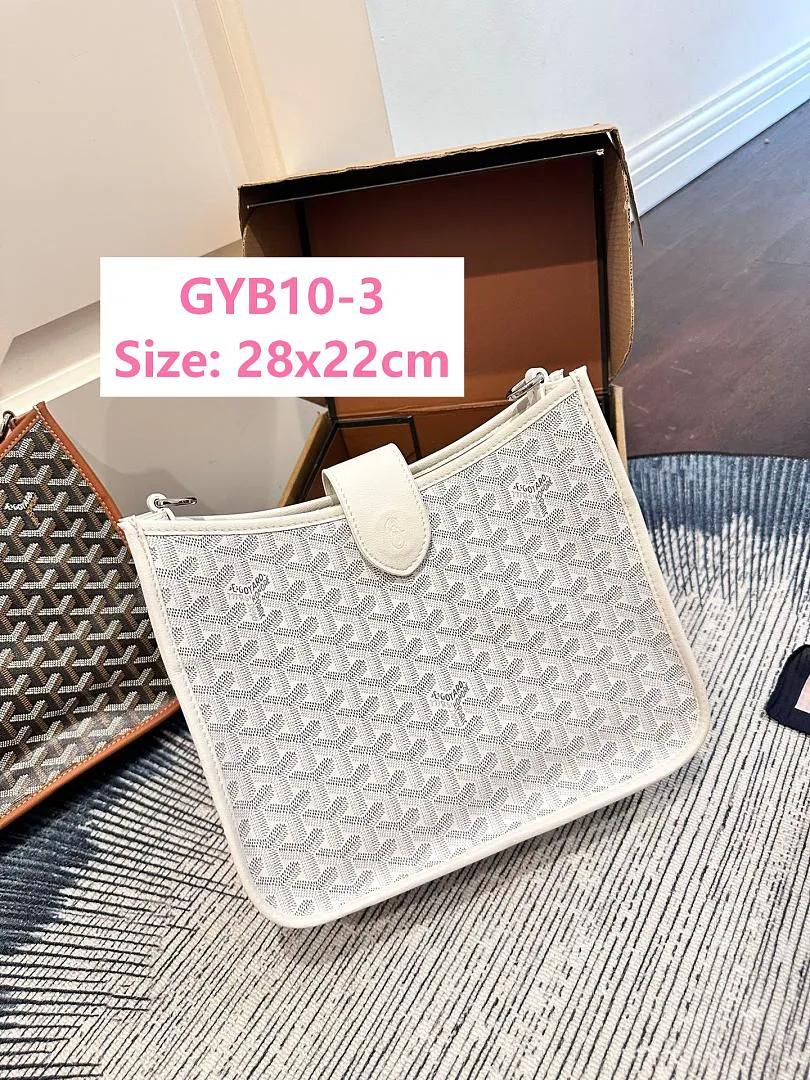 Goyard GYB10 תמונה 10