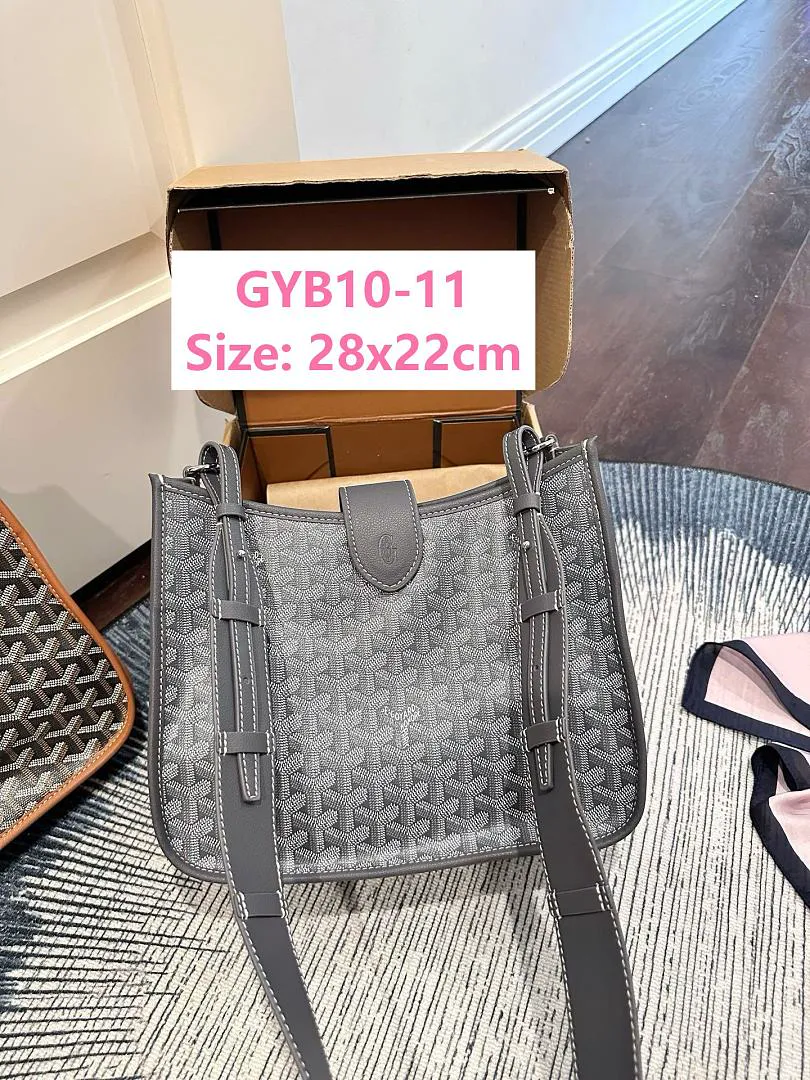 Goyard GYB10 תמונה 2