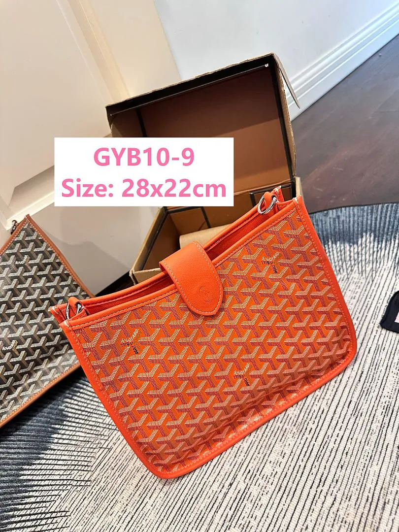 Goyard GYB10 תמונה 4
