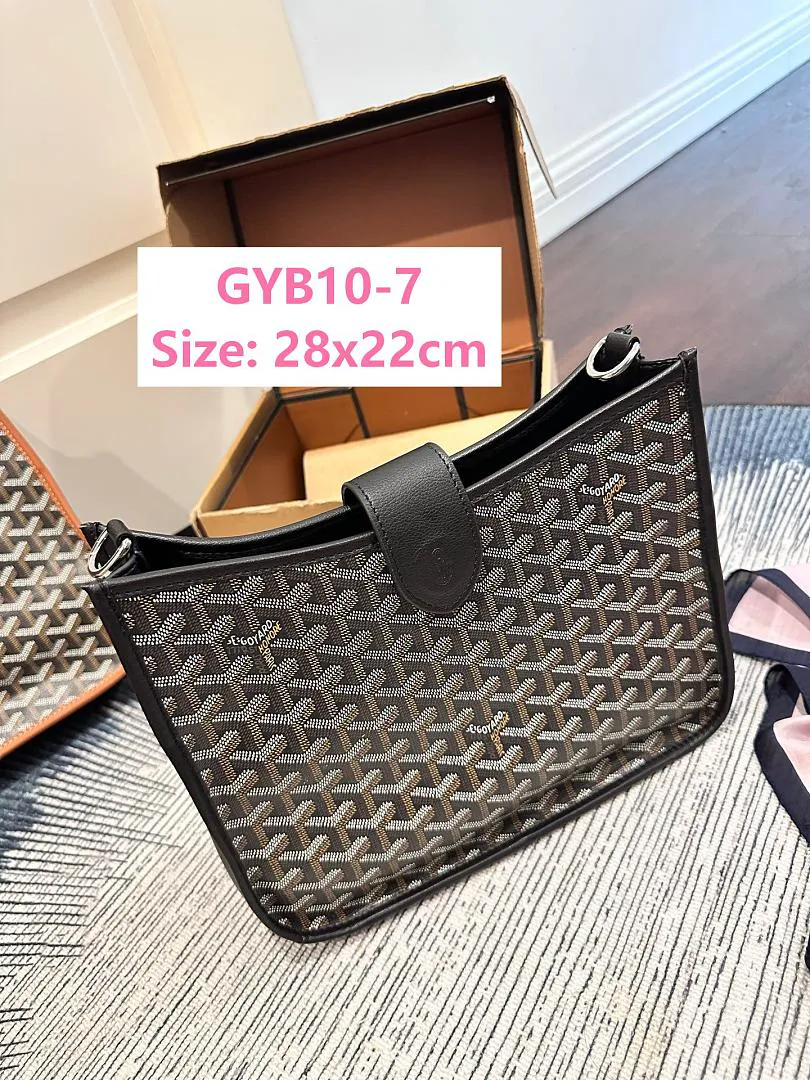 Goyard GYB10 תמונה 6