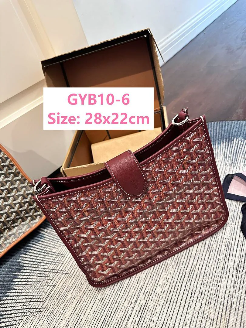 Goyard GYB10 תמונה 7