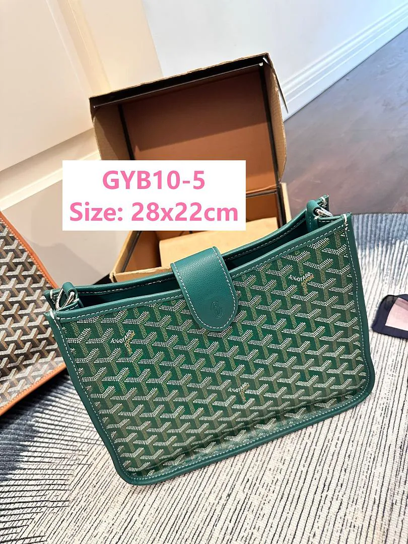 Goyard GYB10 תמונה 8