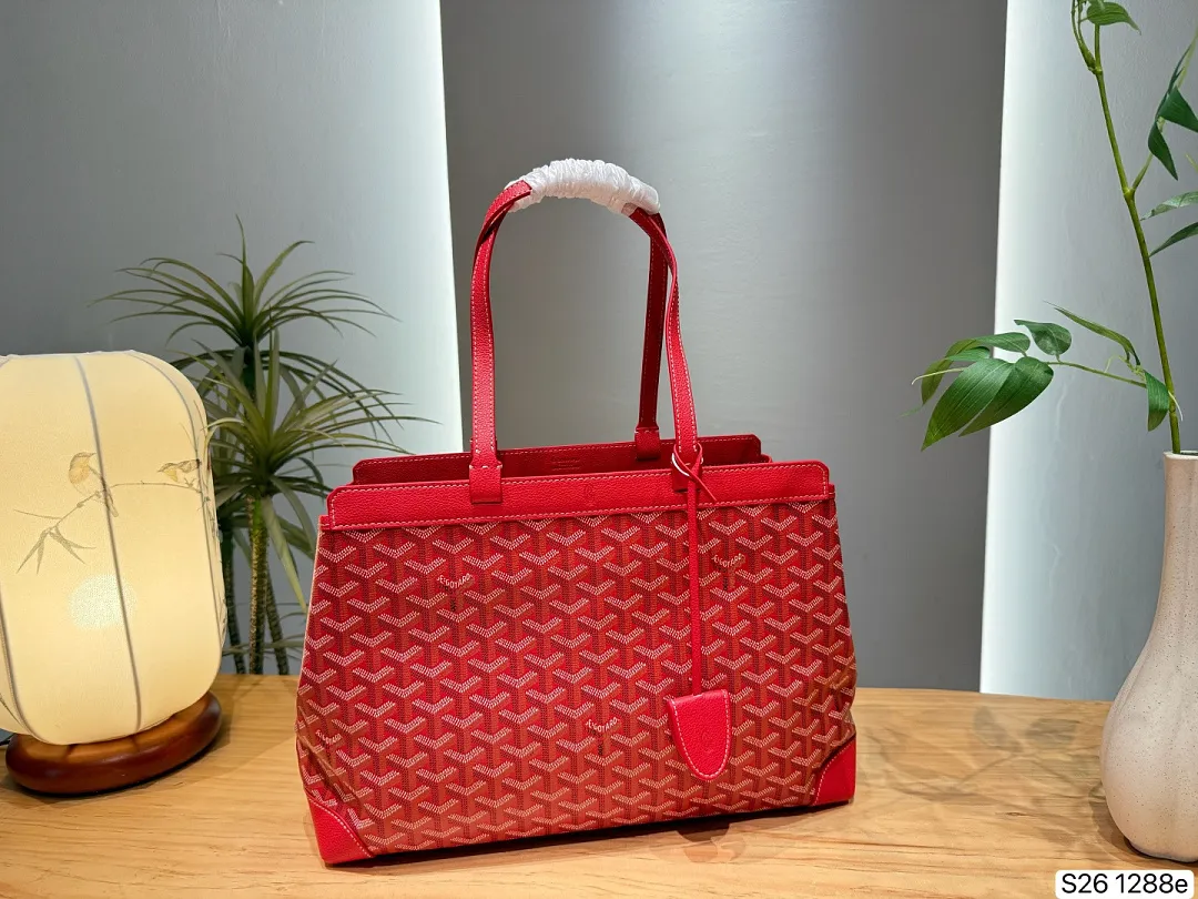 Goyard GYB11 תמונה 11