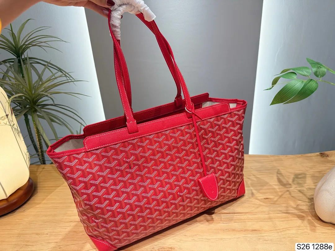 Goyard GYB11 תמונה 12