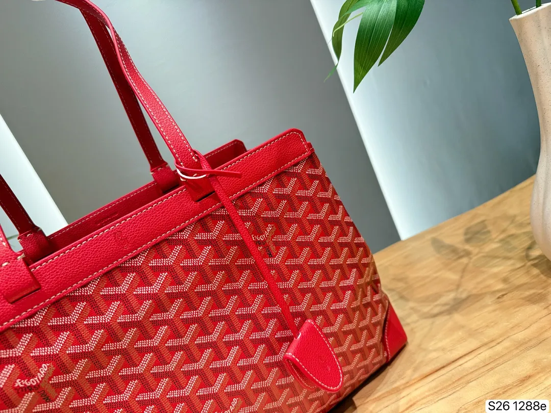 Goyard GYB11 תמונה 13