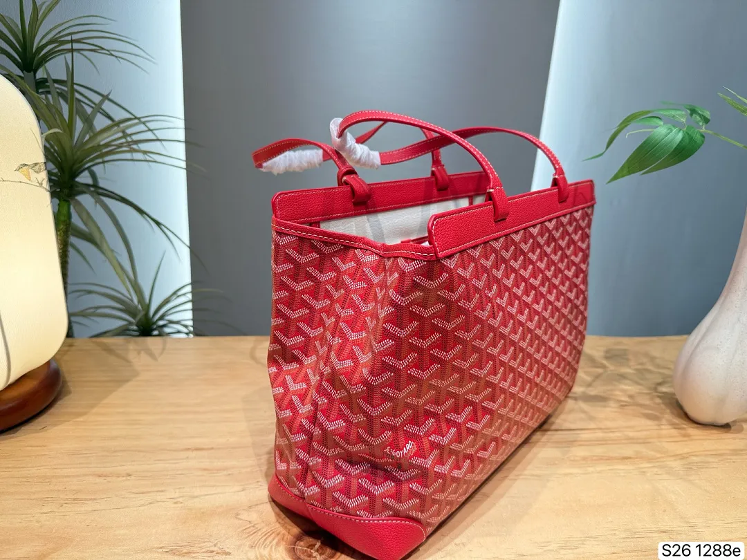 Goyard GYB11 תמונה 14