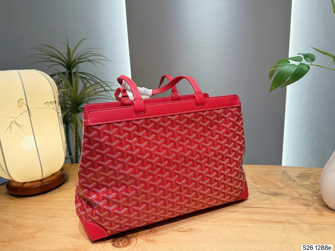 Goyard GYB11 תמונה 15