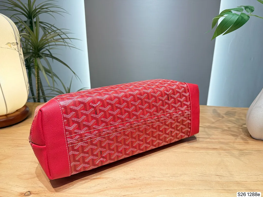 Goyard GYB11 תמונה 16