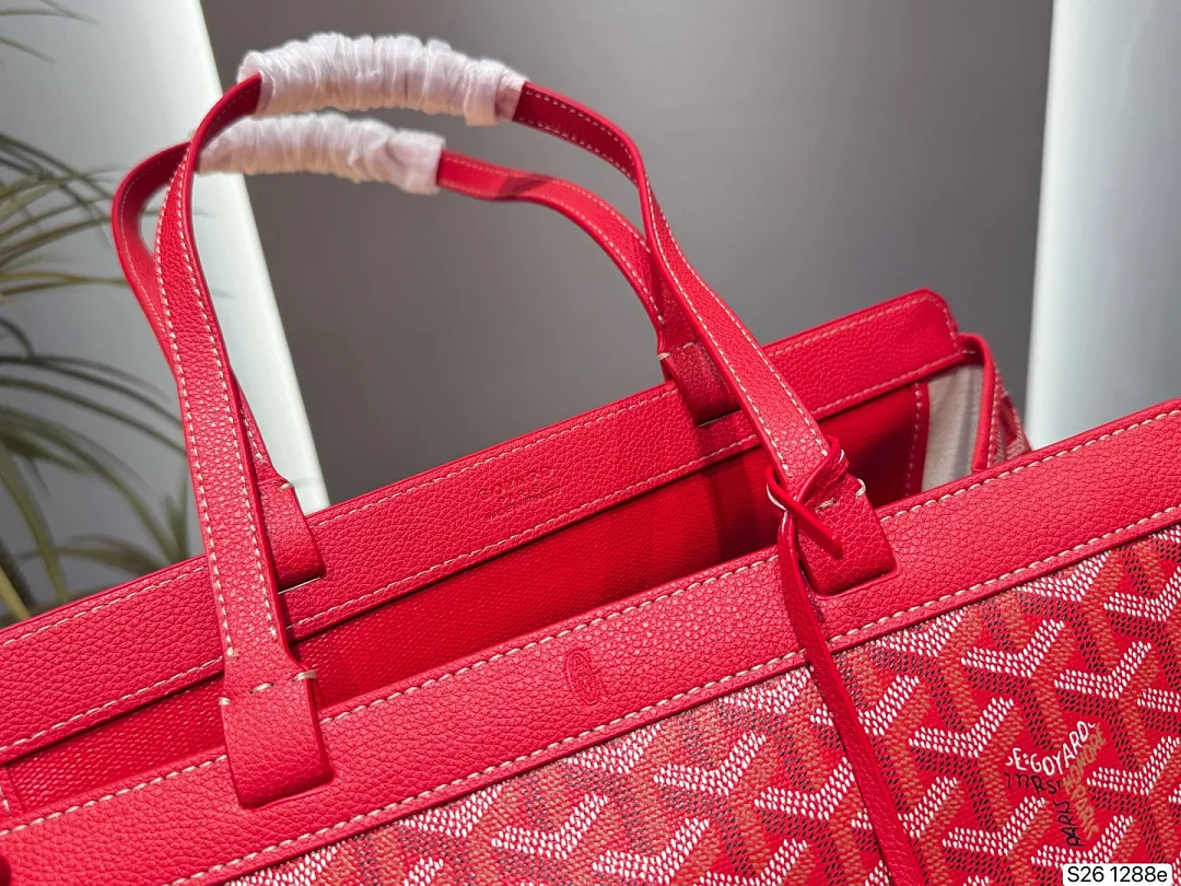 Goyard GYB11 תמונה 17