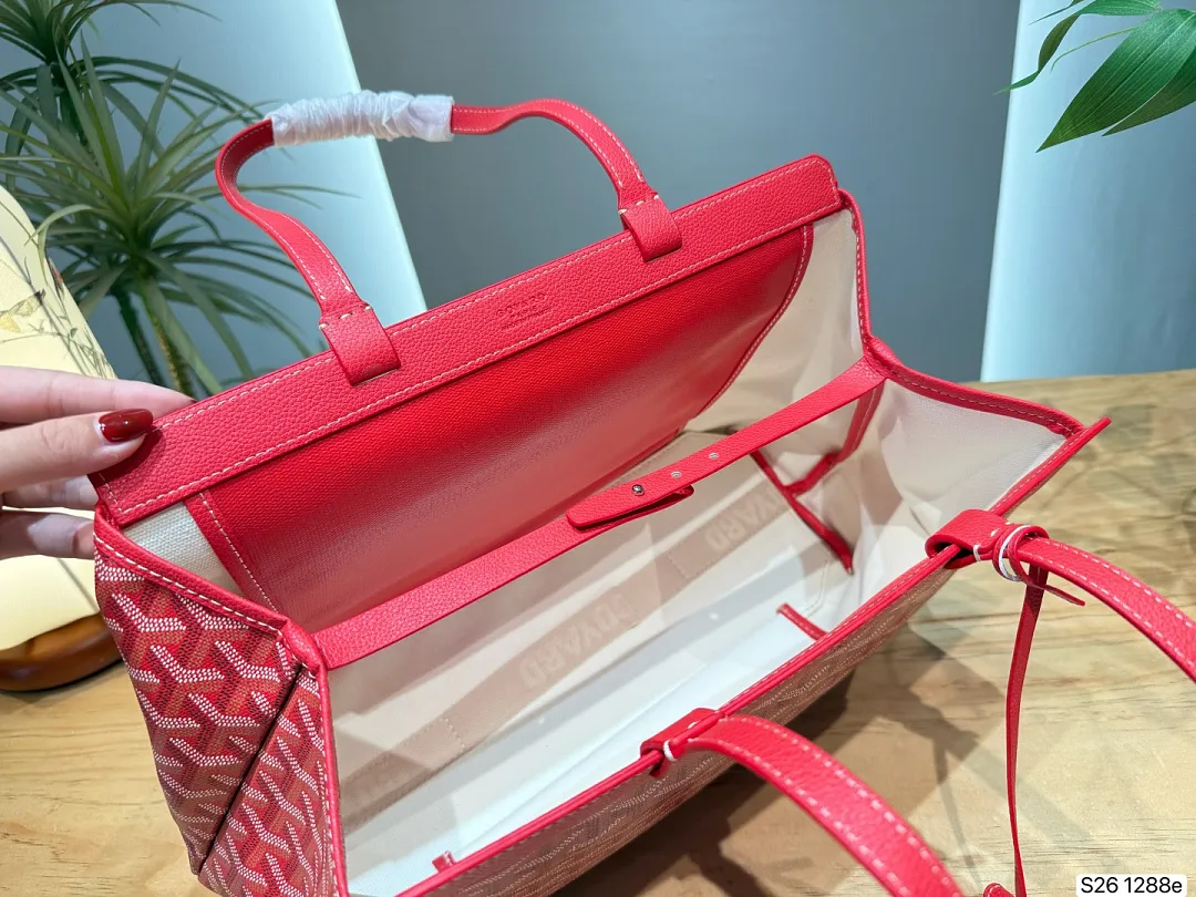 Goyard GYB11 תמונה 18