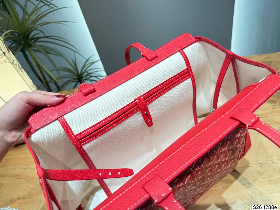 Goyard GYB11 תמונה 19