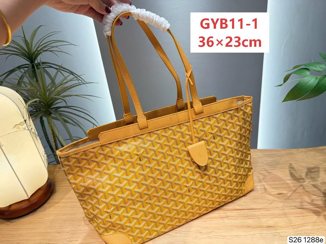 Goyard GYB11 תמונה 2