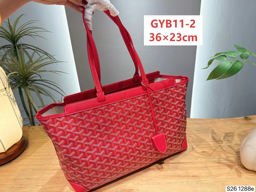Goyard GYB11 תמונה 3
