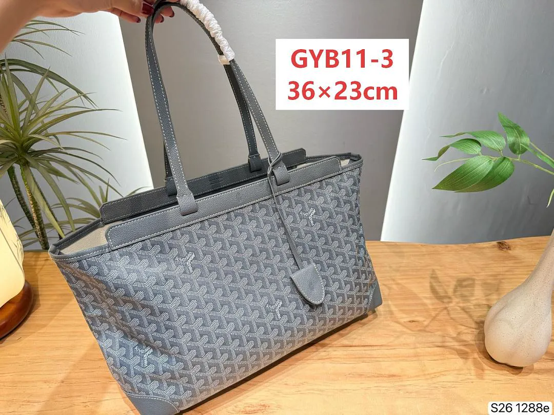 Goyard GYB11 תמונה 4
