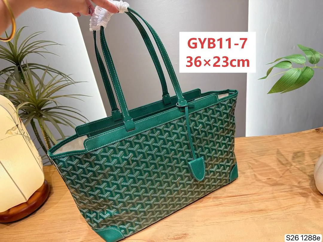Goyard GYB11 תמונה 8