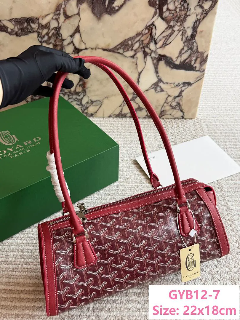 Goyard GYB12 תמונה 4