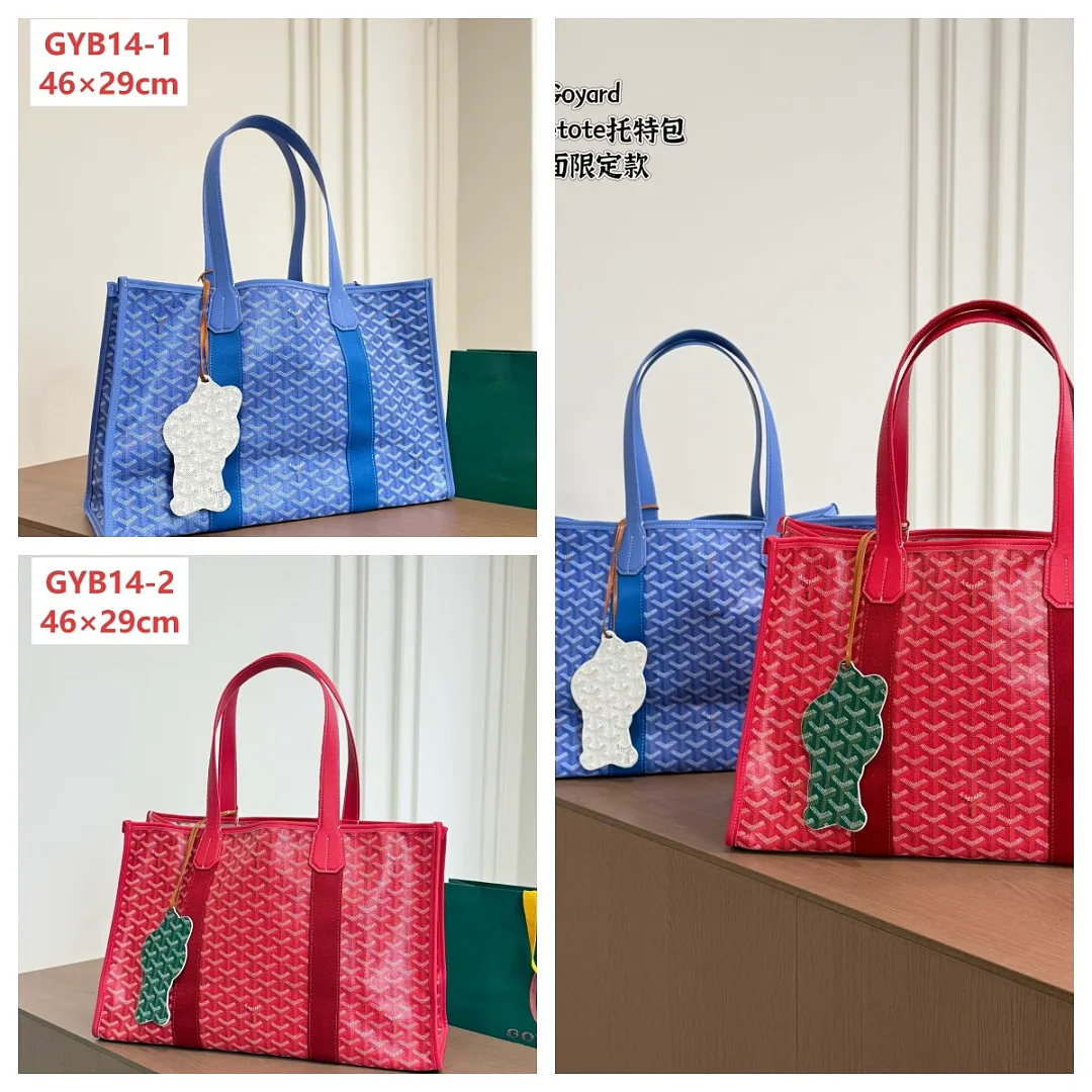 Goyard GYB14 תמונה 2