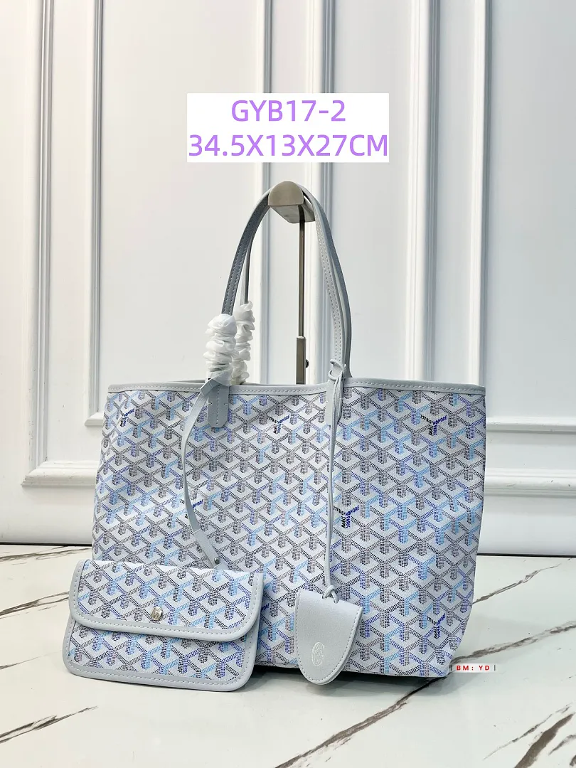 Goyard GYB17 תמונה 14
