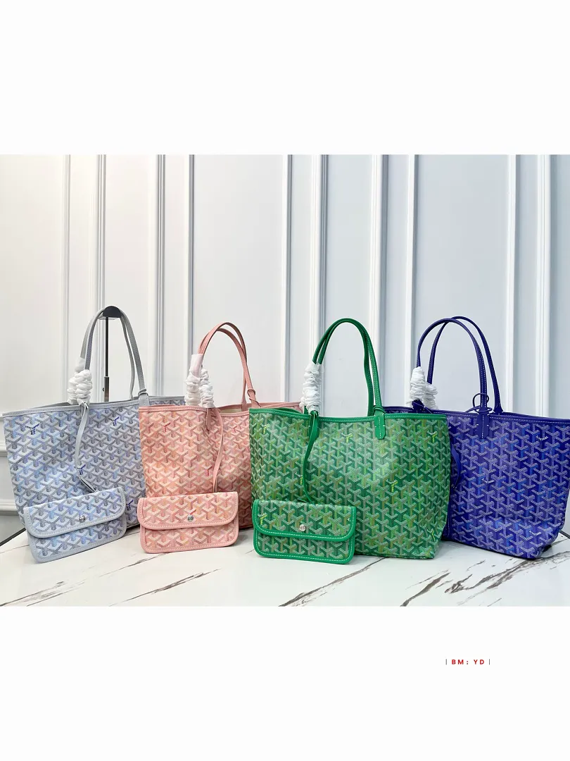 Goyard GYB17 תמונה 2