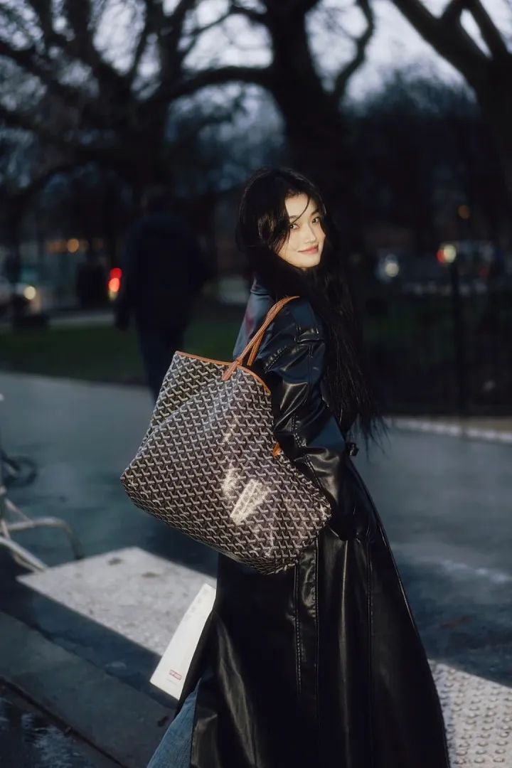 Goyard GYBB011 תמונה 4