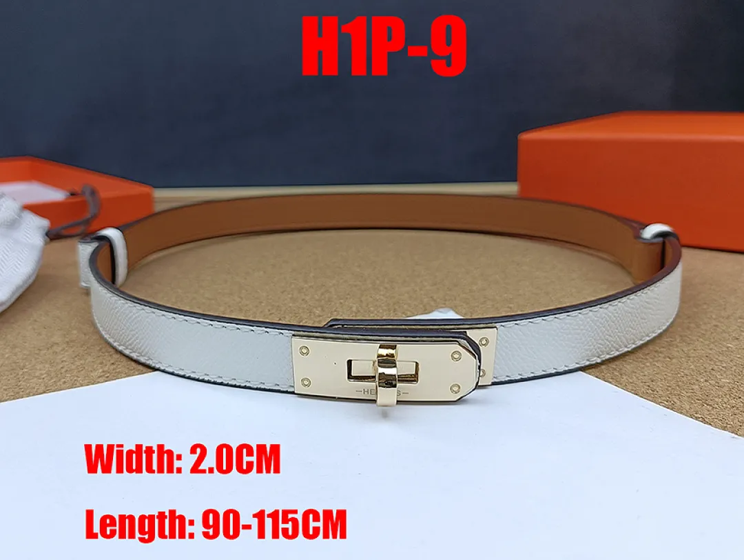 Hermes H1P תמונה 15