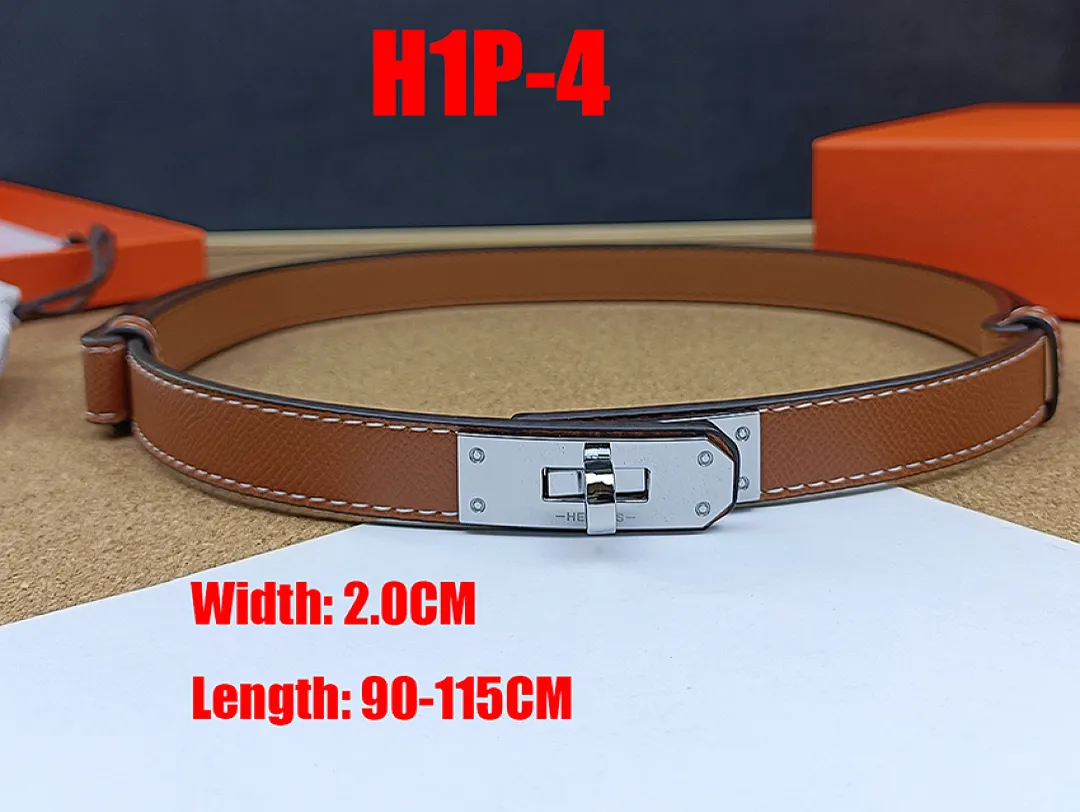 Hermes H1P תמונה 20