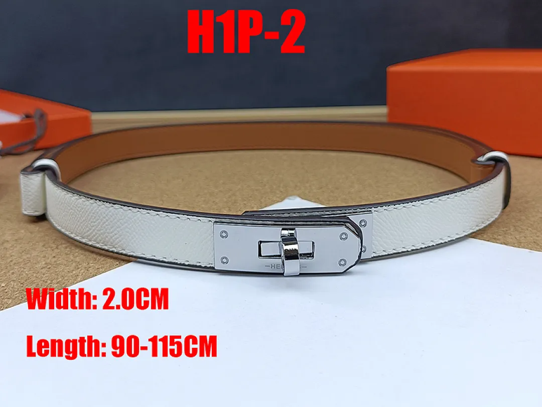 Hermes H1P תמונה 22