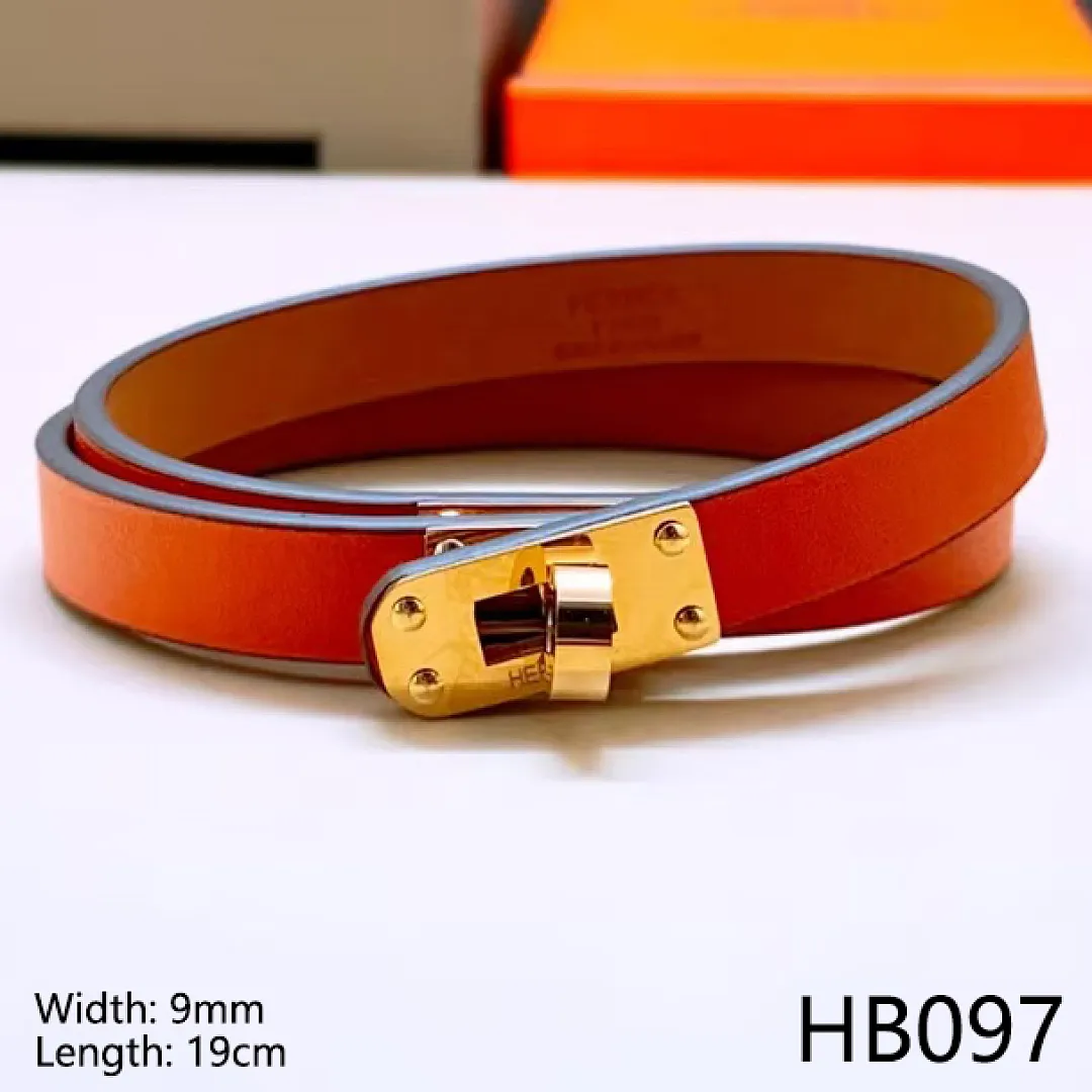 Hermes HB9 תמונה 2