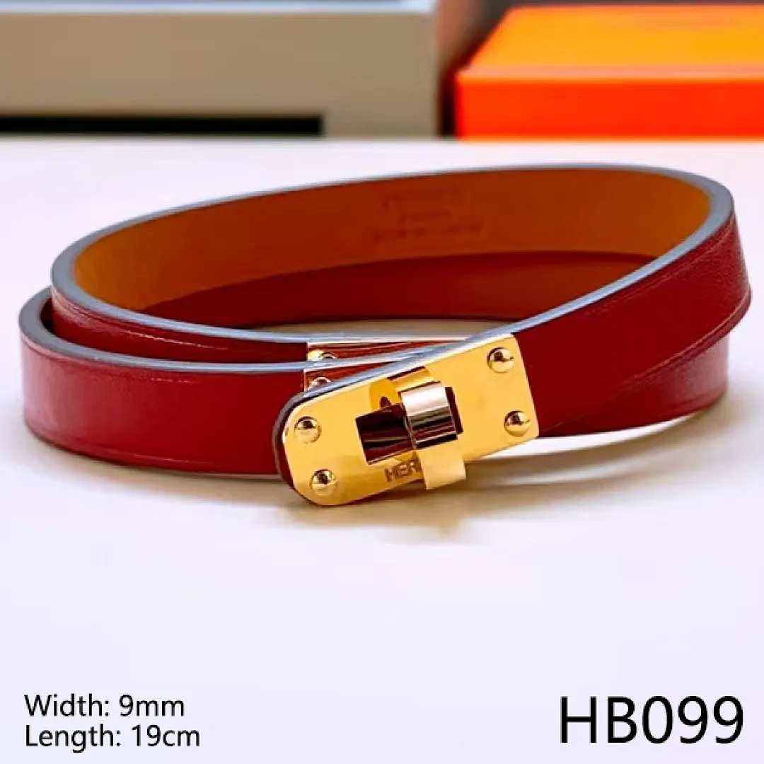Hermes HB9 תמונה 4
