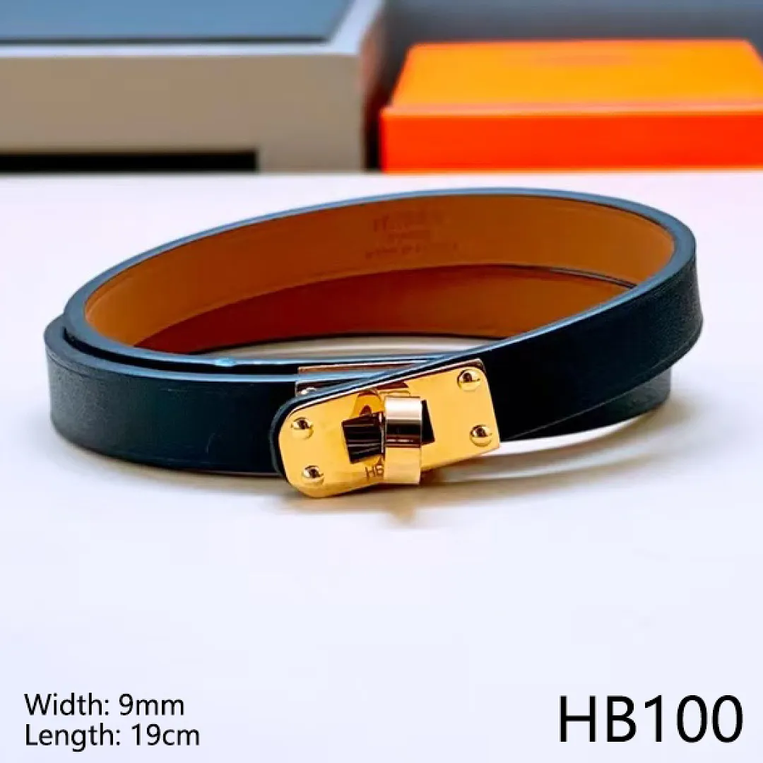 Hermes HB9 תמונה 5