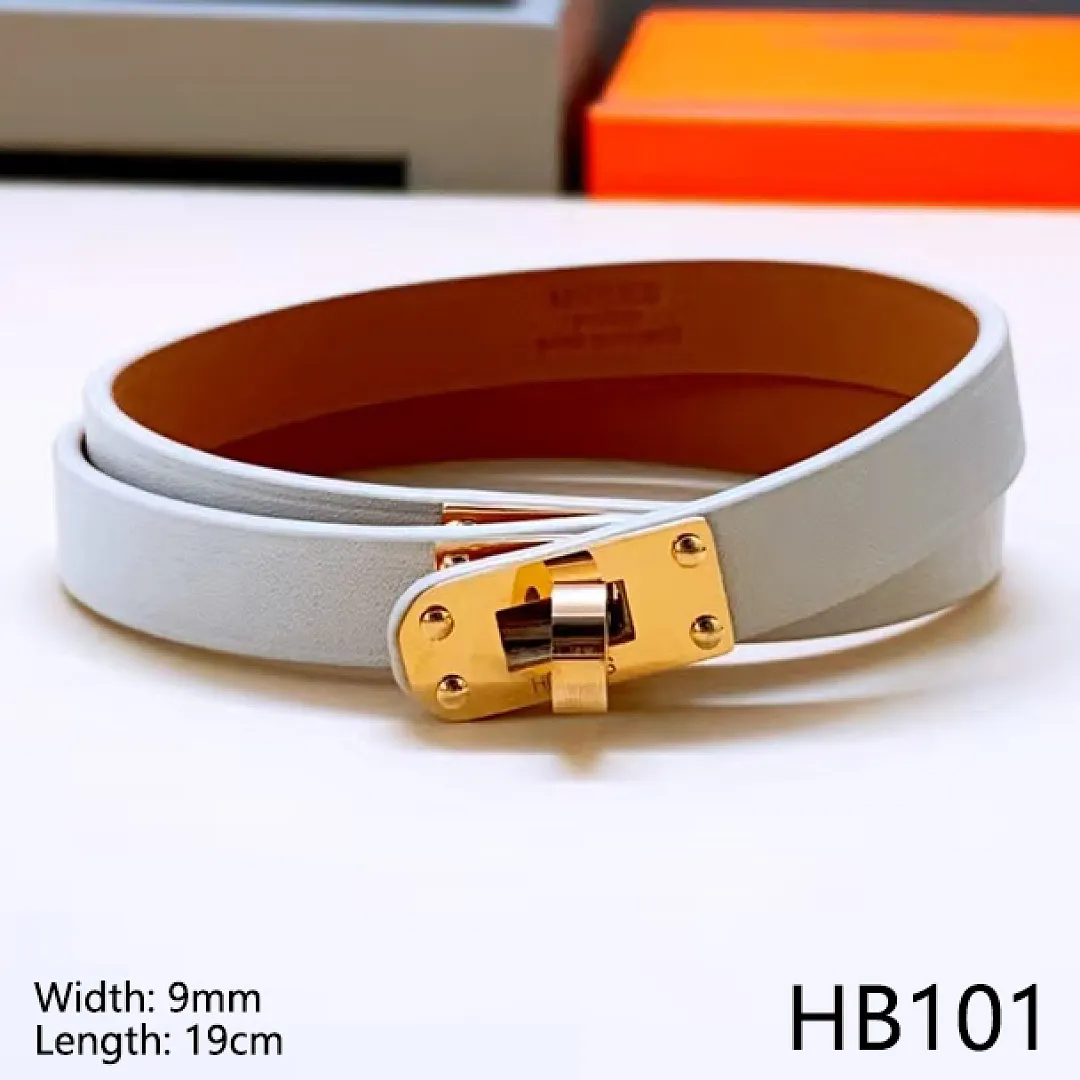 Hermes HB9 תמונה 6