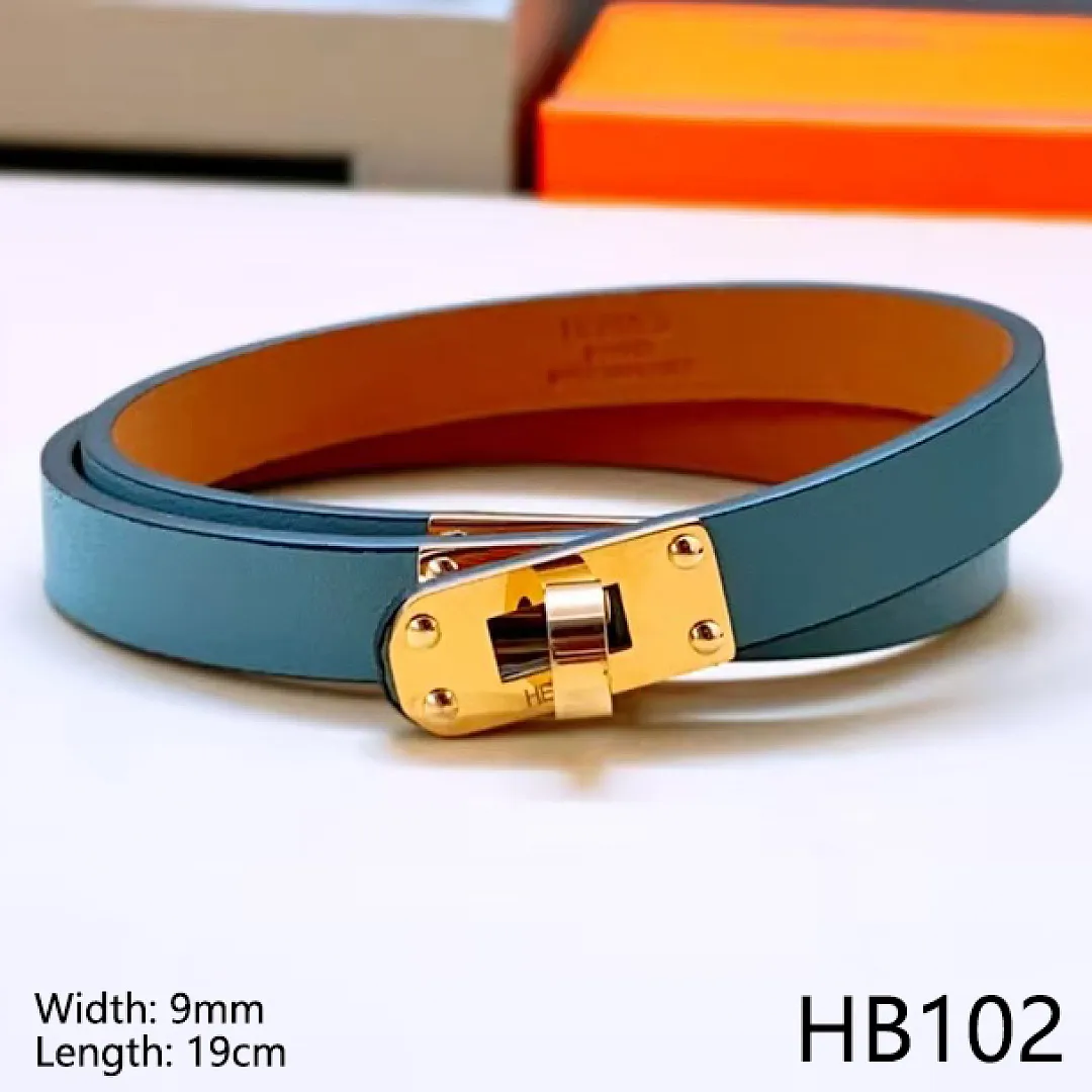 Hermes HB9 תמונה 7