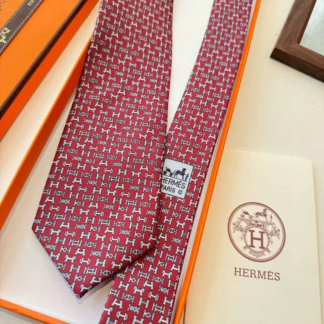 Hermes HMSLD01 תמונה 11
