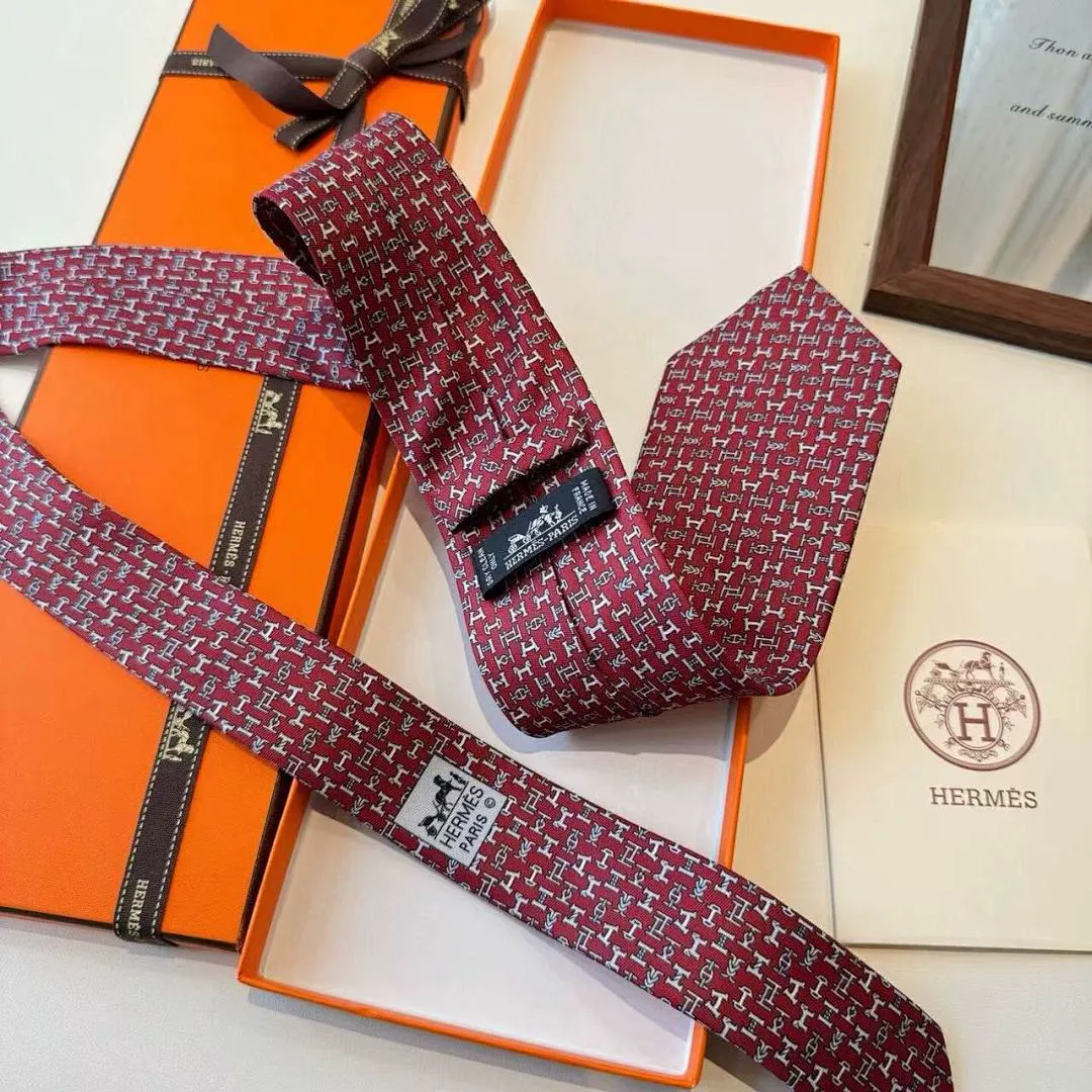 Hermes HMSLD01 תמונה 12
