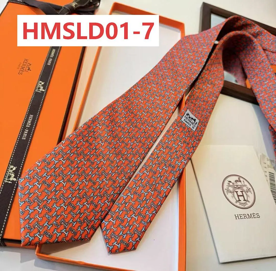 Hermes HMSLD01 תמונה 4