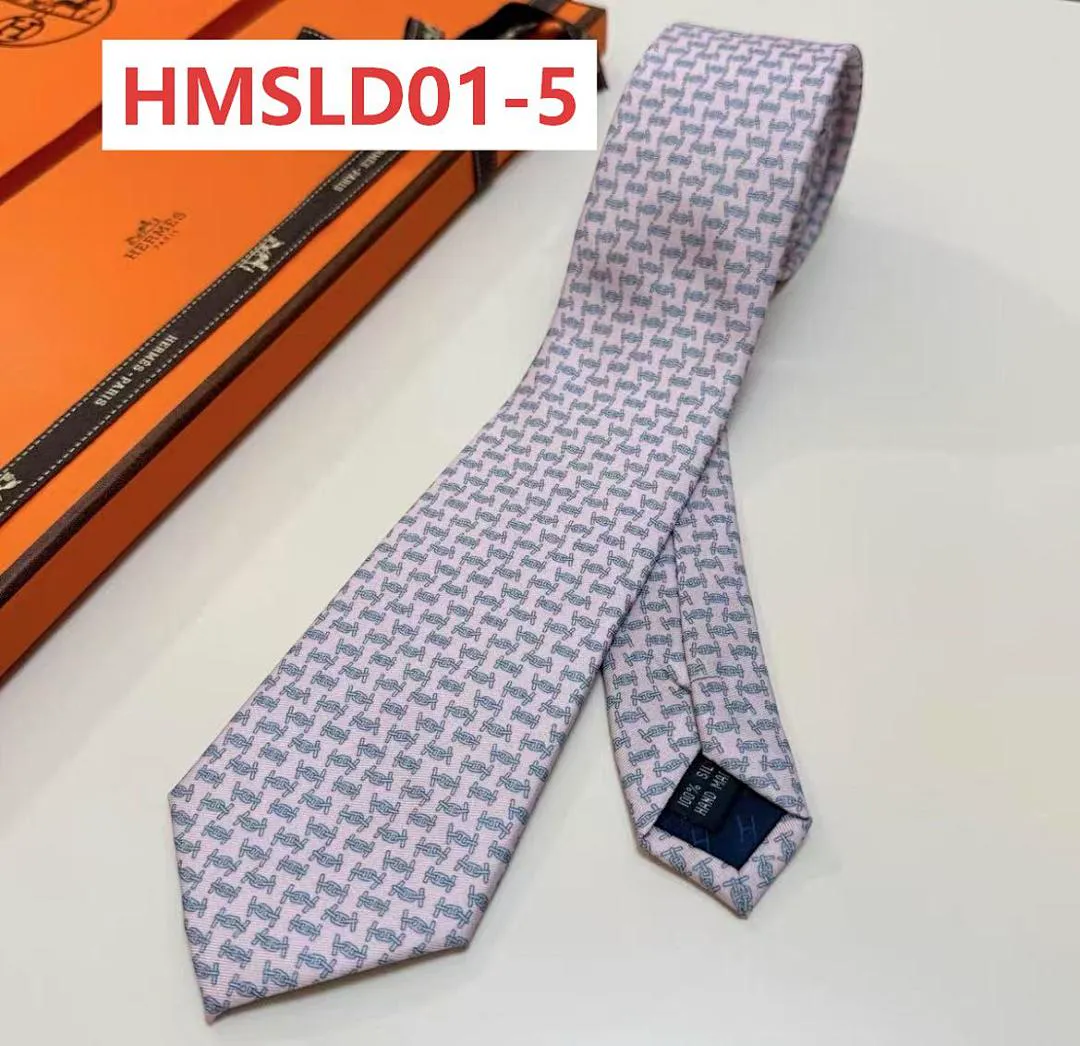 Hermes HMSLD01 תמונה 6