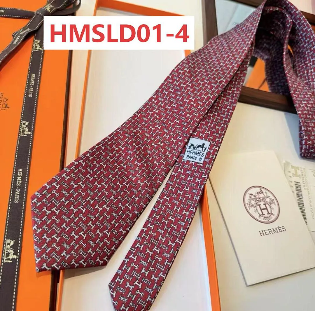 Hermes HMSLD01 תמונה 7