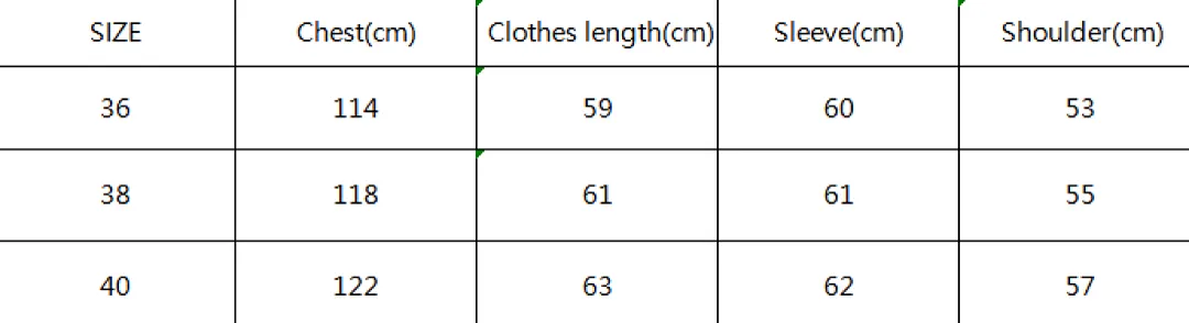 Isabel Marant ISBYF03 תמונה 13