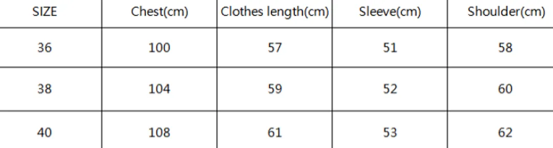 Isabel Marant ISBYF08 תמונה 8
