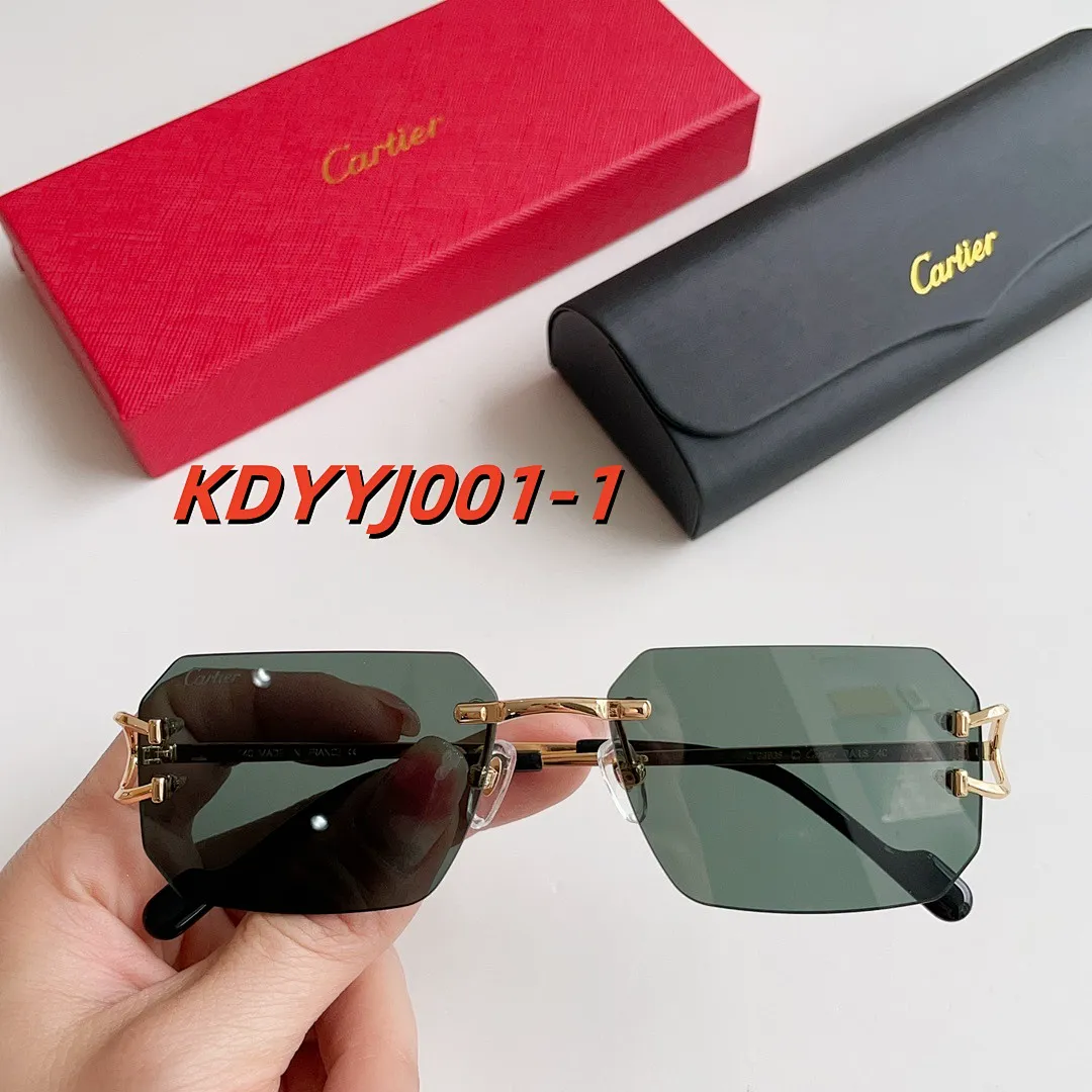 Cartier KDYYJ001 תמונה 2