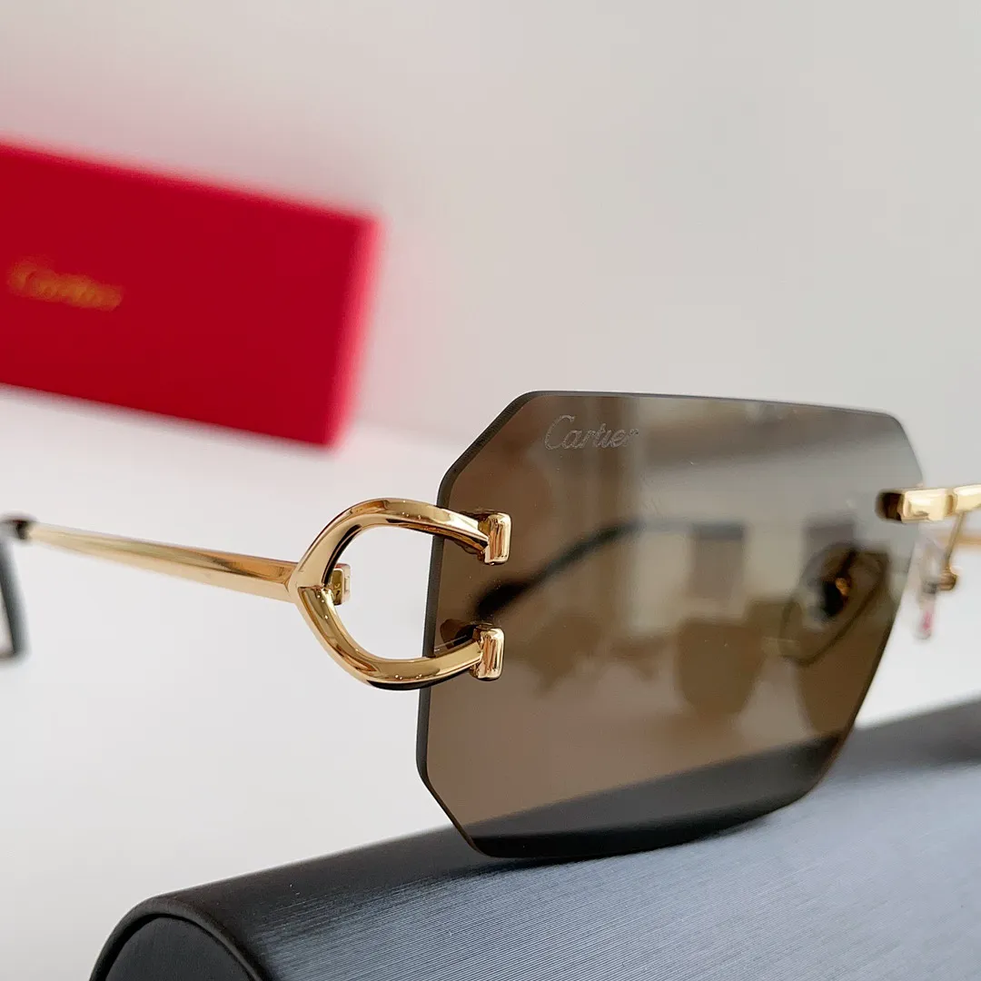 Cartier KDYYJ001 תמונה 22